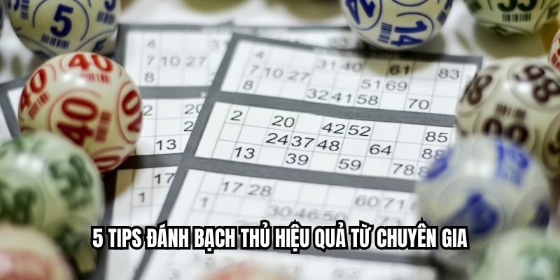 5 tips đánh bạch thủ hiệu quả từ chuyên gia