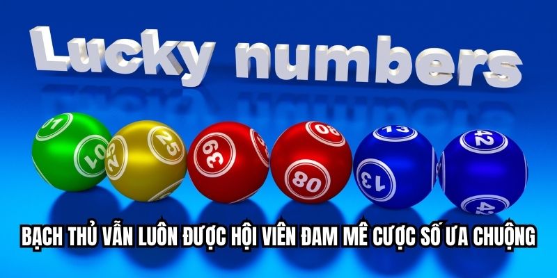 Bạch thủ vẫn luôn được hội viên đam mê cược số ưa chuộng